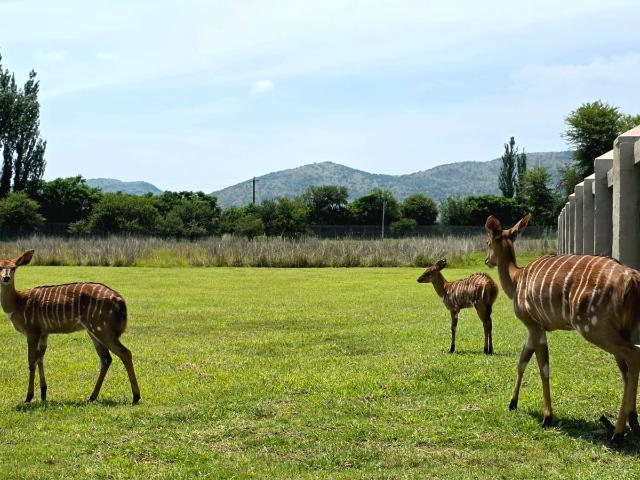 Land for sale in Hartbeespoort Dam Nature Reserve, North West