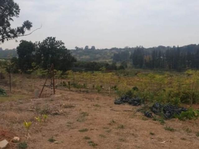 Land for sale in Ehlanzeni, Mpumalanga