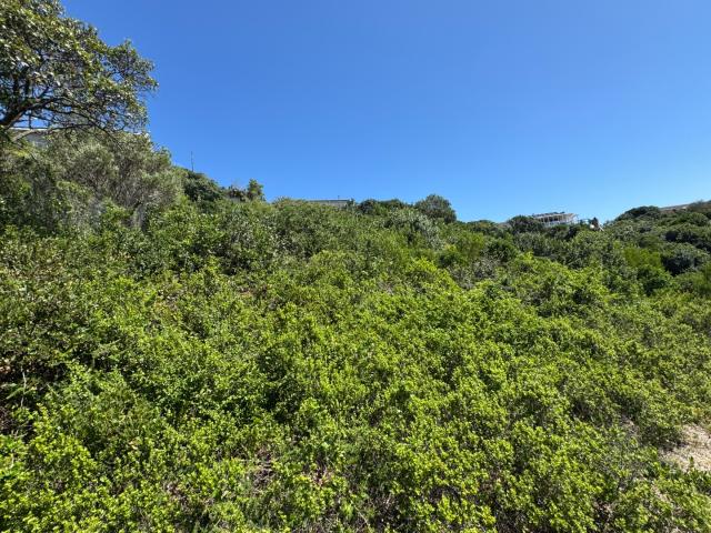 Land for sale in Groot Brak Rivier, Western Cape