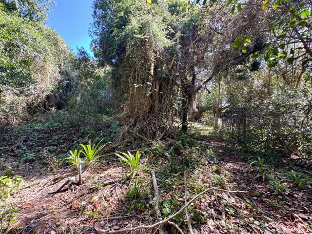 Land for sale in Groot Brak Rivier, Western Cape