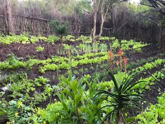 Land for sale in Groot Brak Rivier, Western Cape