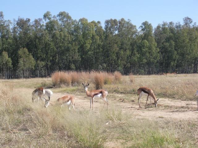 Land for sale in Dr Kenneth Kaunda, North West