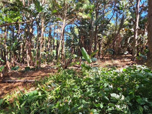 Land for sale in Ugu District Municipality, Kwazulu-natal