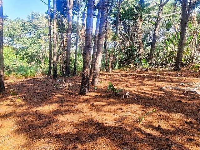 Land for sale in Ugu District Municipality, Kwazulu-natal