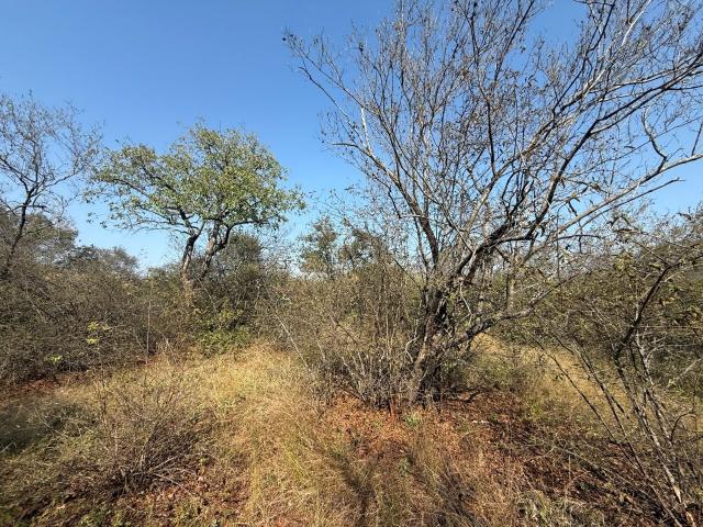 Land for sale in Mopani, Limpopo