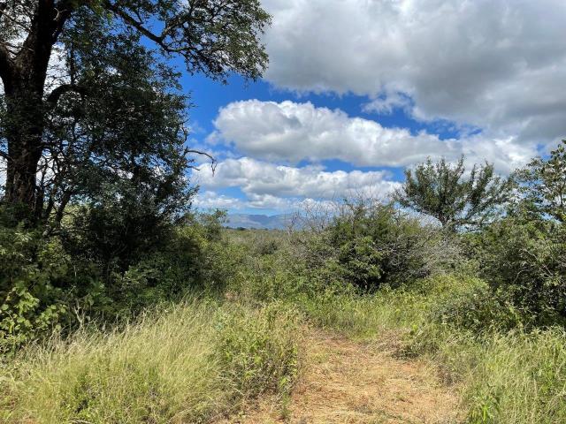 Land for sale in Mopani, Limpopo