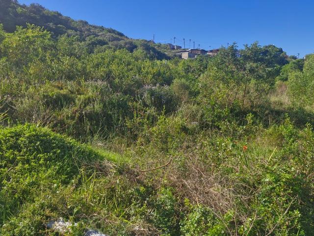 Land for sale in Groot Brak Rivier, Western Cape