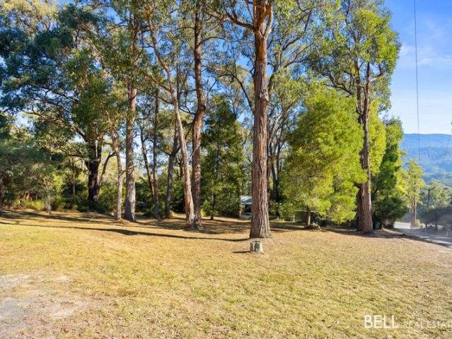 Land for sale in Camerons Creek, Victoria