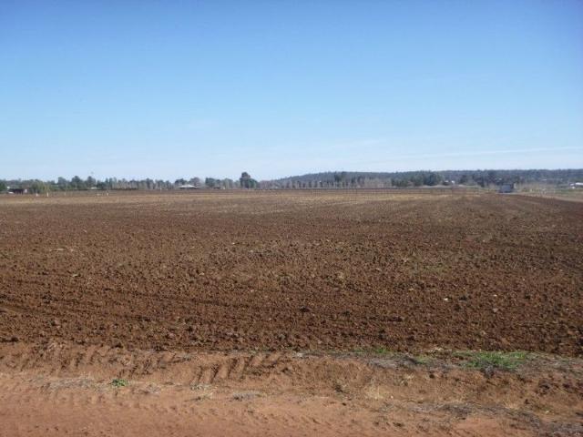 Property for sale in Yoogali, New South Wales