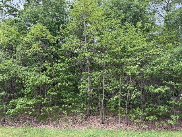 Land for sale in Demotte, Indiana
