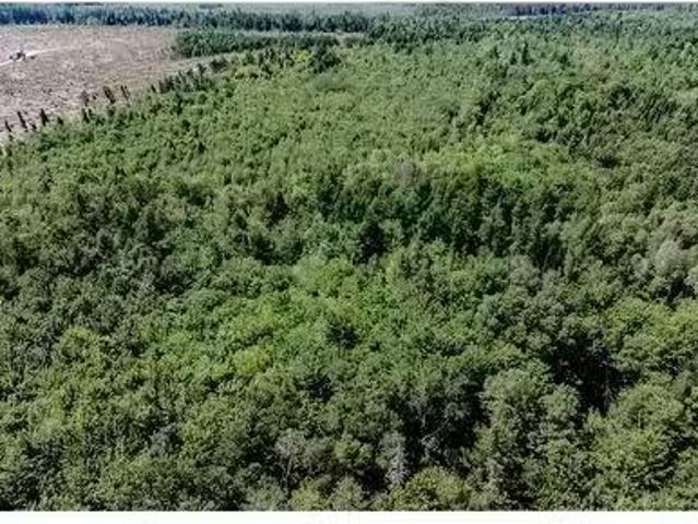 House for sale in Aldouane, New Brunswick