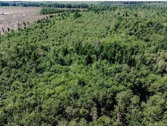 Land for sale in Aldouane, New Brunswick