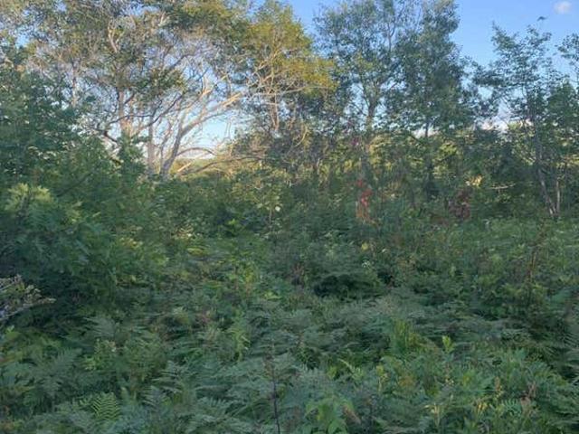 Land for sale in North Sydney, Nova Scotia