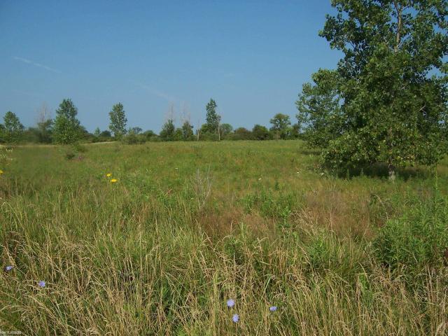 Land for sale in Michigan