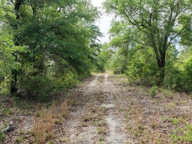 Land for sale in Pinetta, Madison County