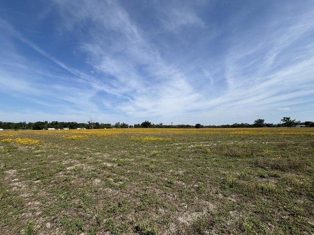 Land for sale in Madison, Florida