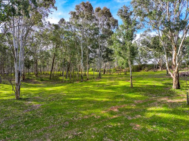 Property for sale in Wallacia, New South Wales