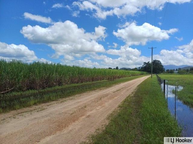 Land for sale in Munro Plains, Queensland