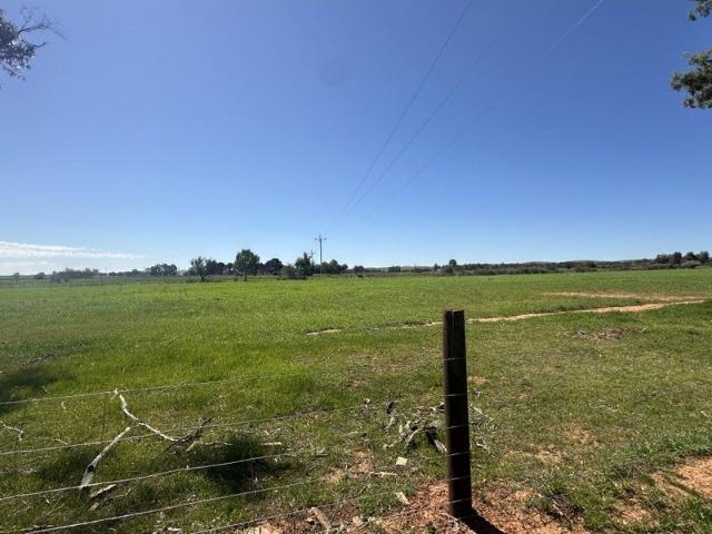Land for sale in Caltowie, South Australia