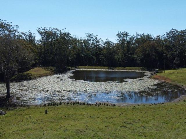 Land for sale in Crediton, Queensland
