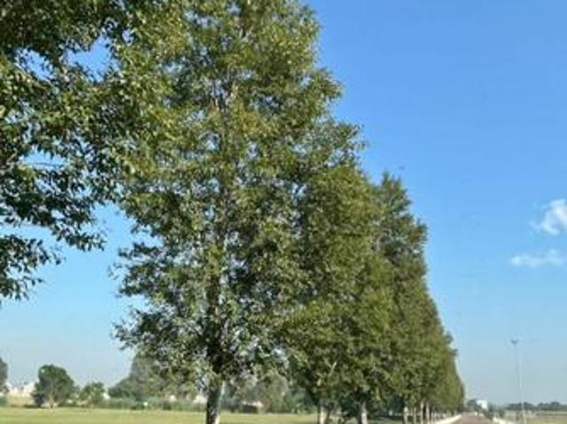 Land for sale in Sedibeng, Gauteng