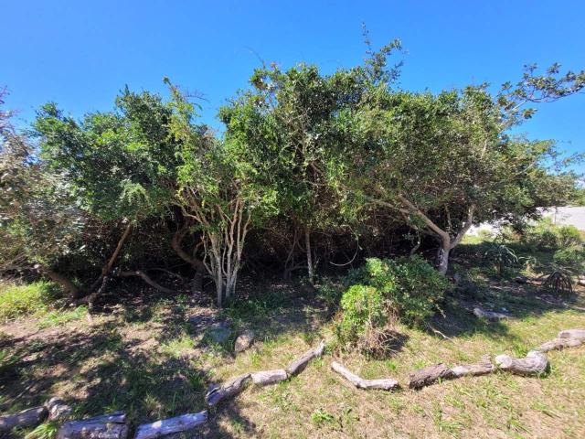 Land for sale in Cape St Francis, Eastern Cape