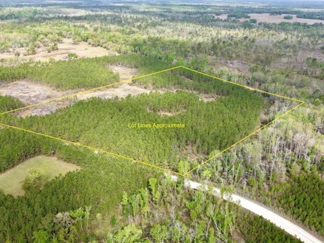 Land for sale in Madison, Florida