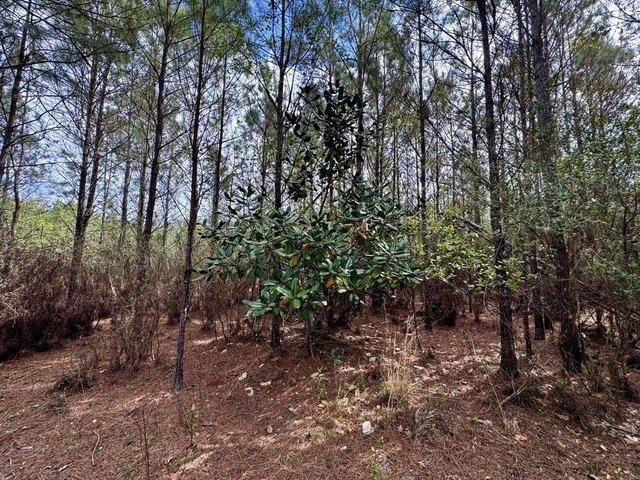 Land for sale in Madison, Florida