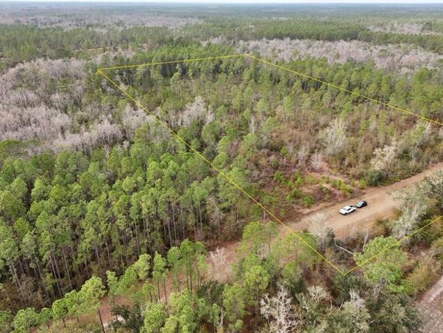 Land for sale in Greenville, Florida