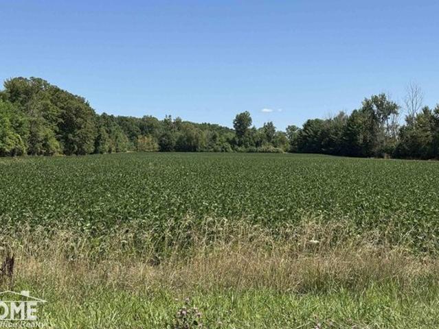Land for sale in Mount Morris, Michigan