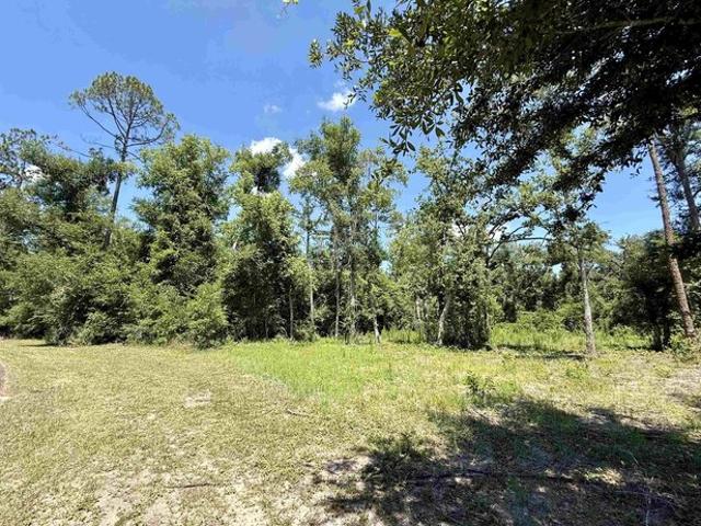 Land for sale in Suwannee, Florida