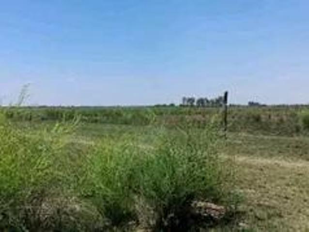 Land for sale in Koppies, Free State