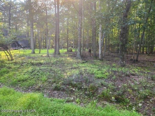 Land for sale in White Haven, Pennsylvania