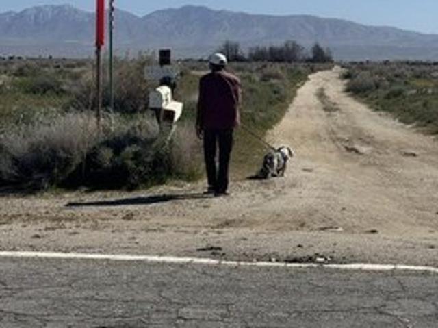 Land for sale in Palmdale, California