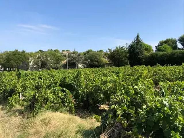 Maison vente à Carpentras, Vacqueyras