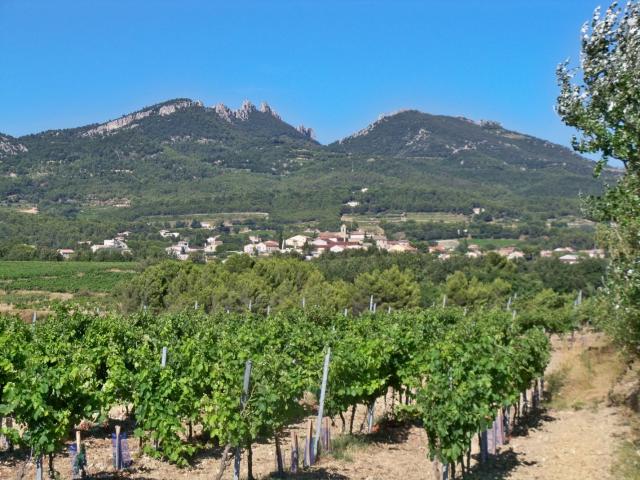 Terrain vente à Vacqueyras, Vaucluse