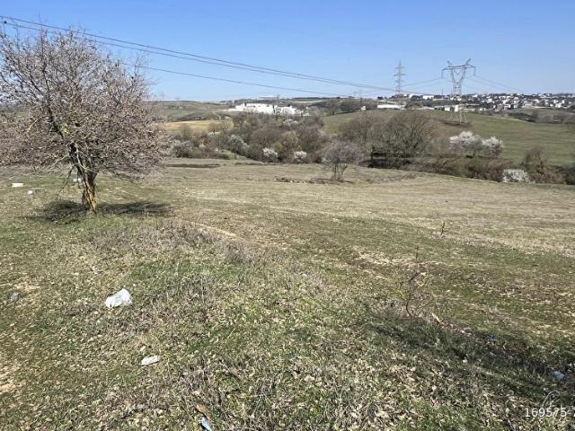 Tuzla, İstanbul içerisinde satılık Arsa