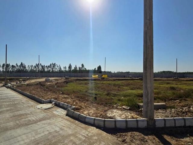 Land for sale in Tilakwada, Gujarat