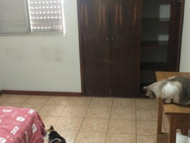 Apartamento aluguel em Região Imediata de Piracicaba, Região Metropolitana de Piracicaba