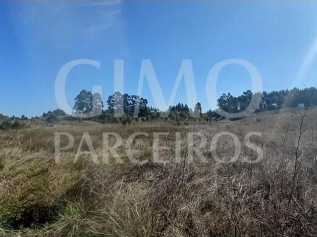 Terreno venda em Ponte De Vagos, Aveiro