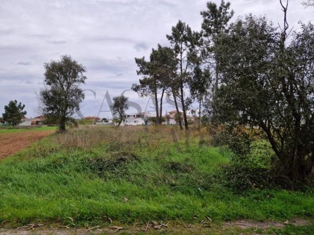 Terreno venda em Vagos