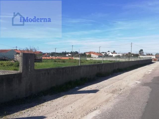 Terreno venda em Parada de Cima, Ponte De Vagos
