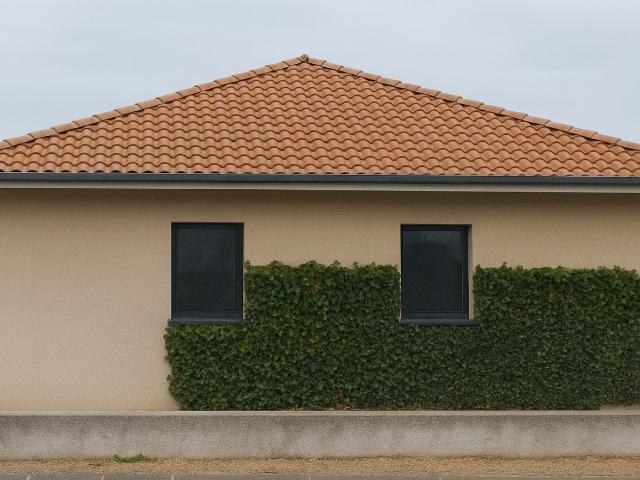 Maison vente à Lodève, Vailhauquès
