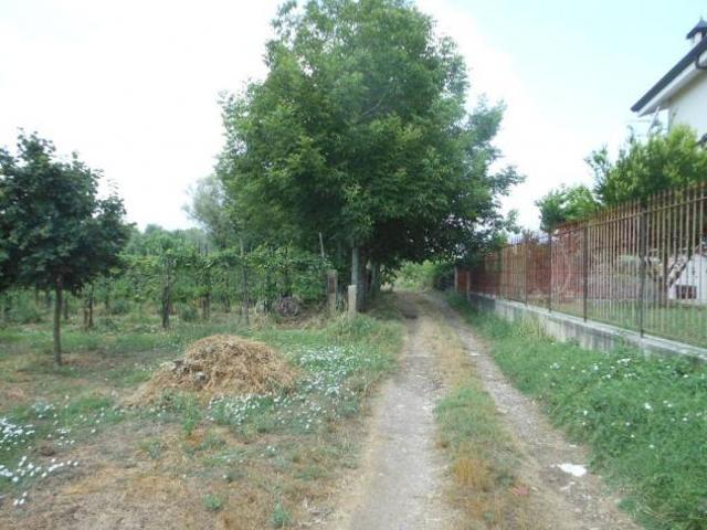 Terreno in vendita a Vairano Patenora, Campania