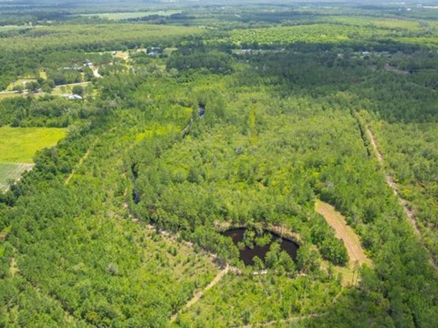 Land for sale in Adel, Georgia