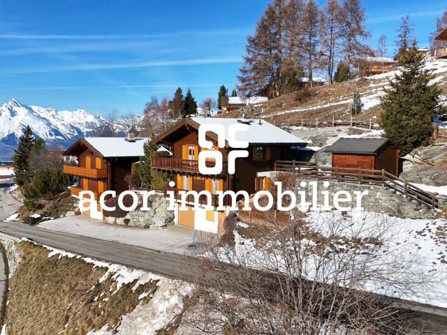 Haus kaufen in Mont-Noble, Wallis