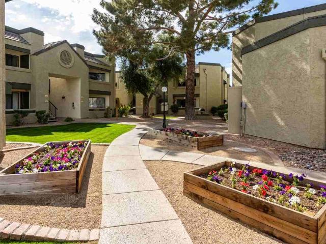 Apartment for rent in Mesa, Arizona