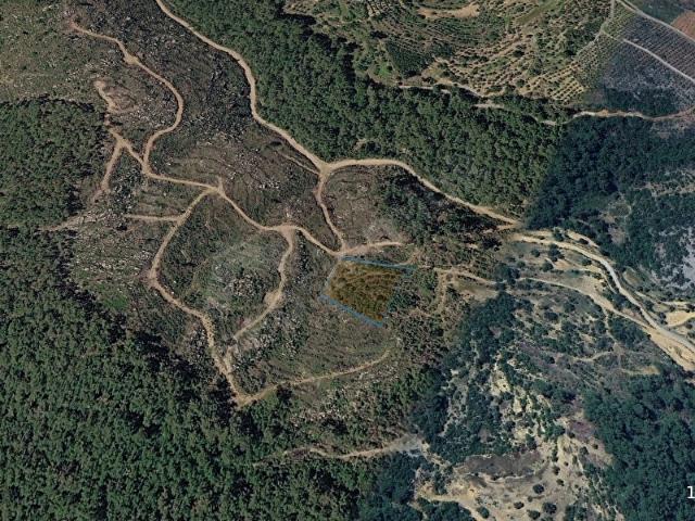 Alanya, Antalya içerisinde satılık Arsa