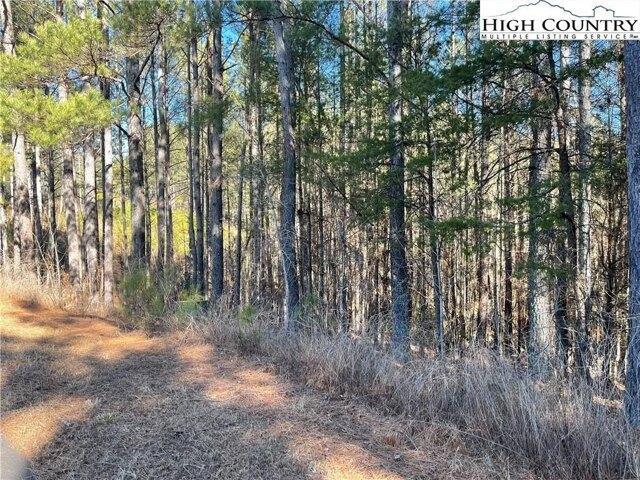 Land for sale in Valdese, North Carolina