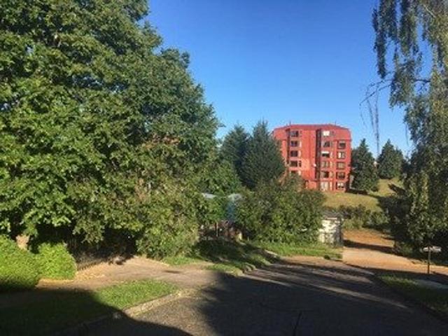 Valdivia, Isla teja